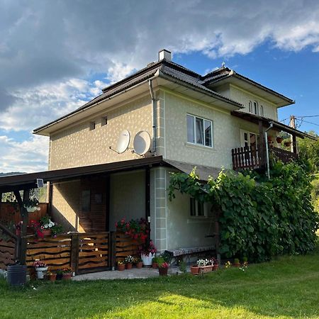 Casa Danut Villa Vidra  Exteriör bild