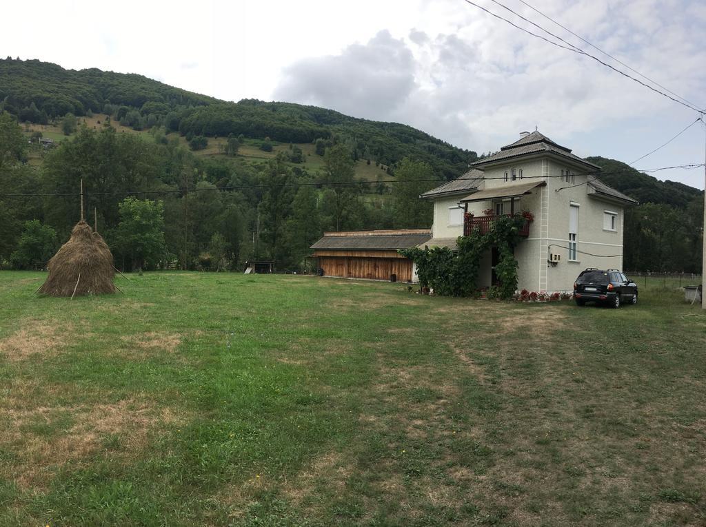 Casa Danut Villa Vidra  Exteriör bild